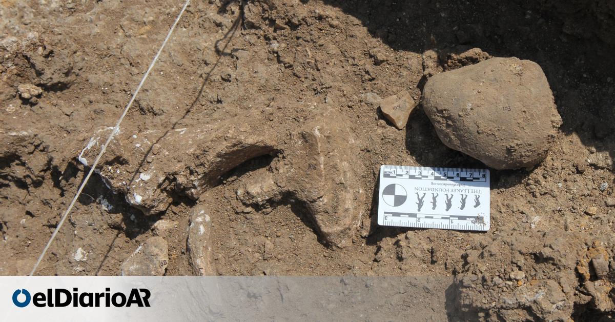¡Impactante Hallazgo en Kenia! Descubrimiento Revoluciona Nuestra Comprensión de los Orígenes de la Tecnología Humana