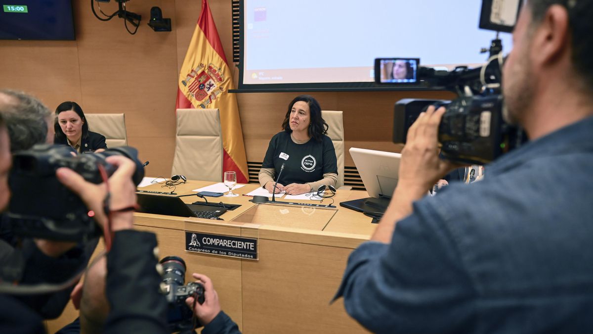 María Dolores Gradolí comparece ante la Comisión de Investigación sobre la gestión de la crisis de la dana del 29 de octubre de 2024 del Congreso de los Diputados, este jueves.