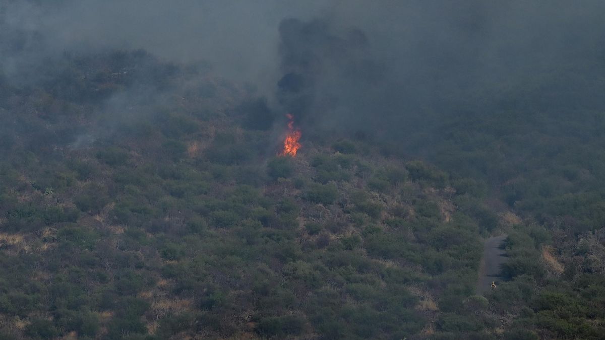 Incendio en El Tanque, en Tenerife, este lunes.