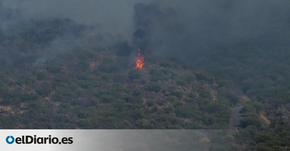 El origen del incendio de Tenerife, un  descuido  humano, según la presidenta del Cabildo