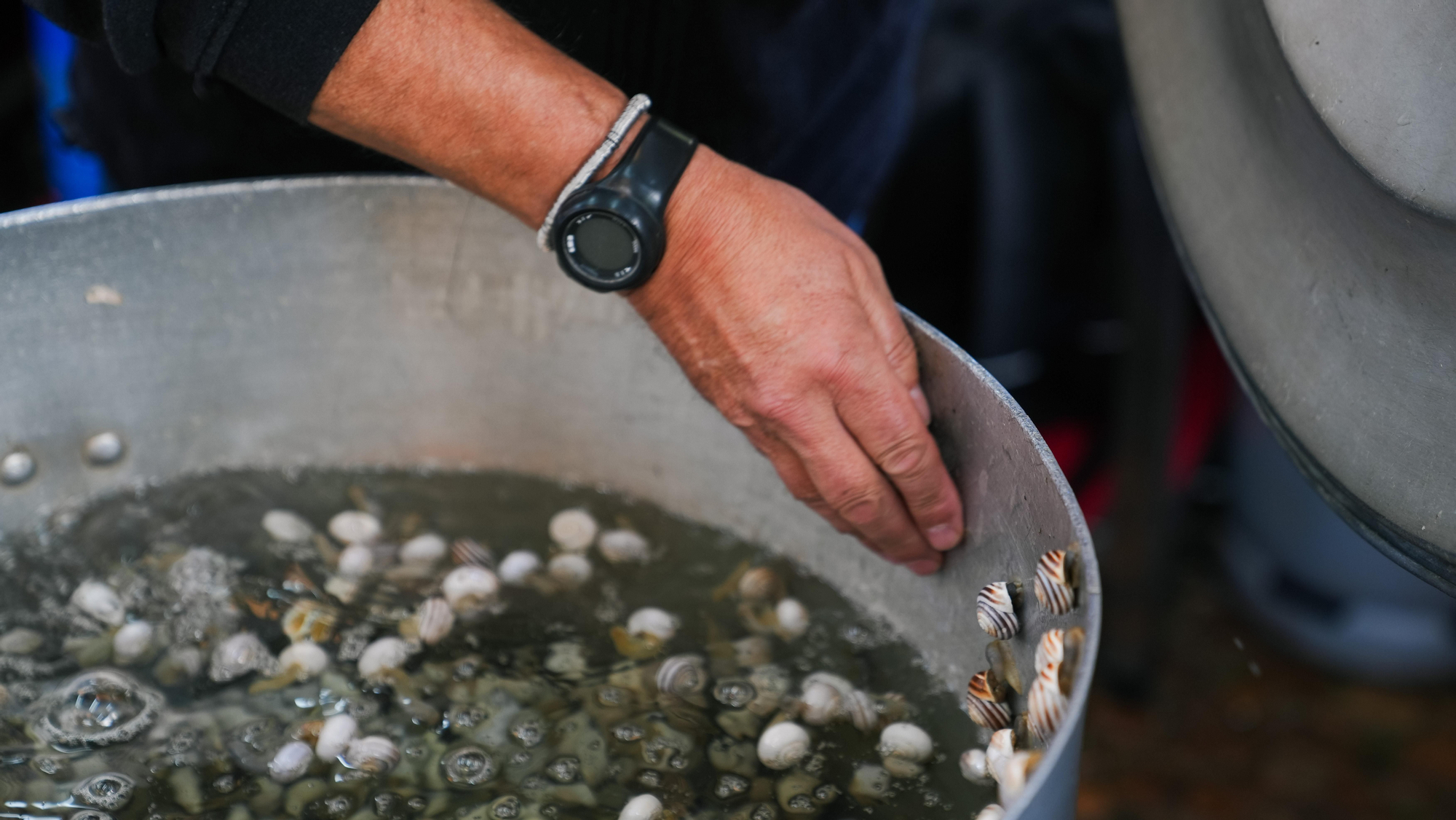 Inicio oficial de la temporada de caracoles