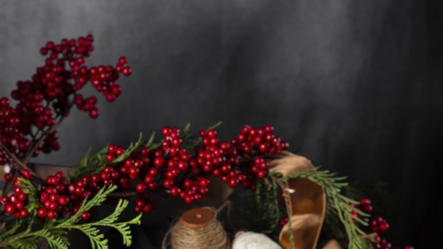 Ni musgo para el belén ni muérdago o acebo: la sanción económica que conlleva cogerlo