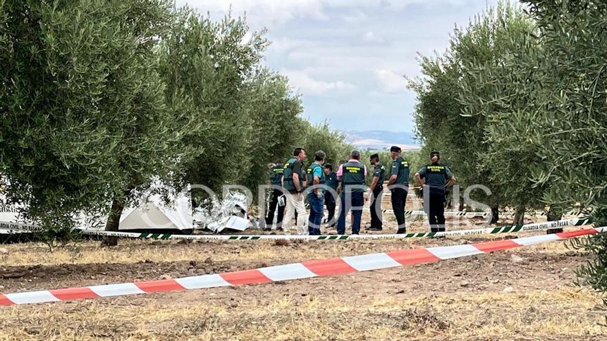 Mueren dos personas tras estrellarse una avioneta en Castro del Río