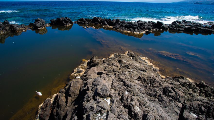 Peces muertos y agua empozada en el charco de Los Chochos