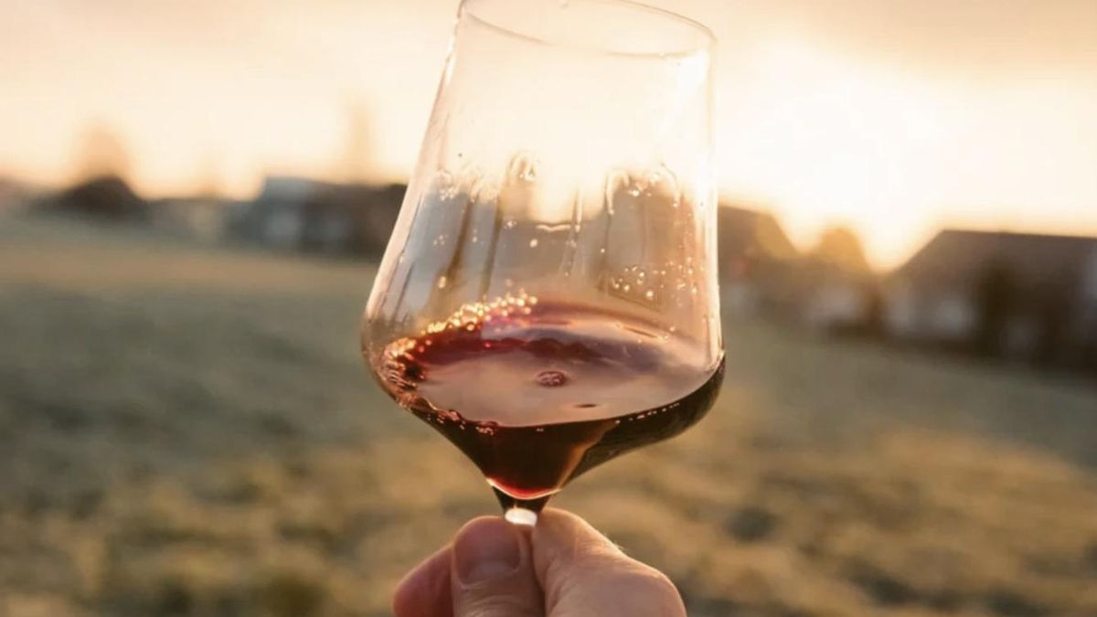 Un eclipse y un sí quiero en un lugar mágico, la primera bodega de Rioja que visitó esta pareja de Madrid