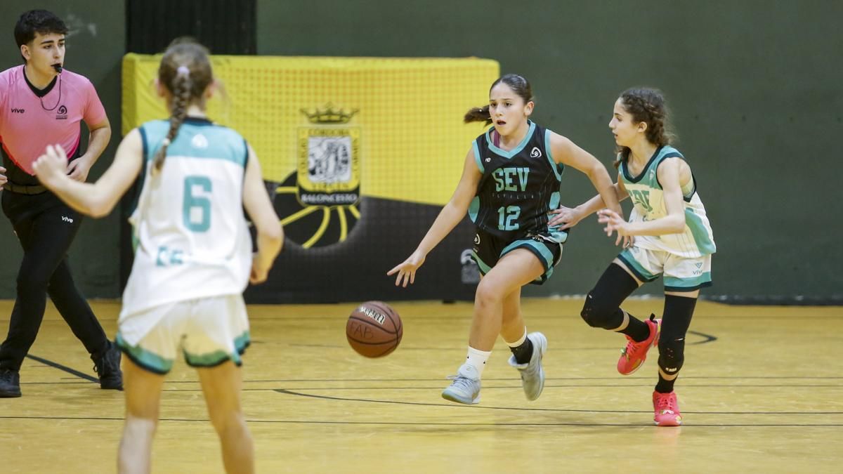 Campeonato de Andalucía A8 mini femenino de selecciones provinciales