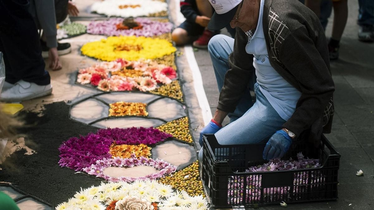 Arena del volcán de La Palma para las alfombras de La Laguna. AYUNTAMIENTO DE LA LAGUNA