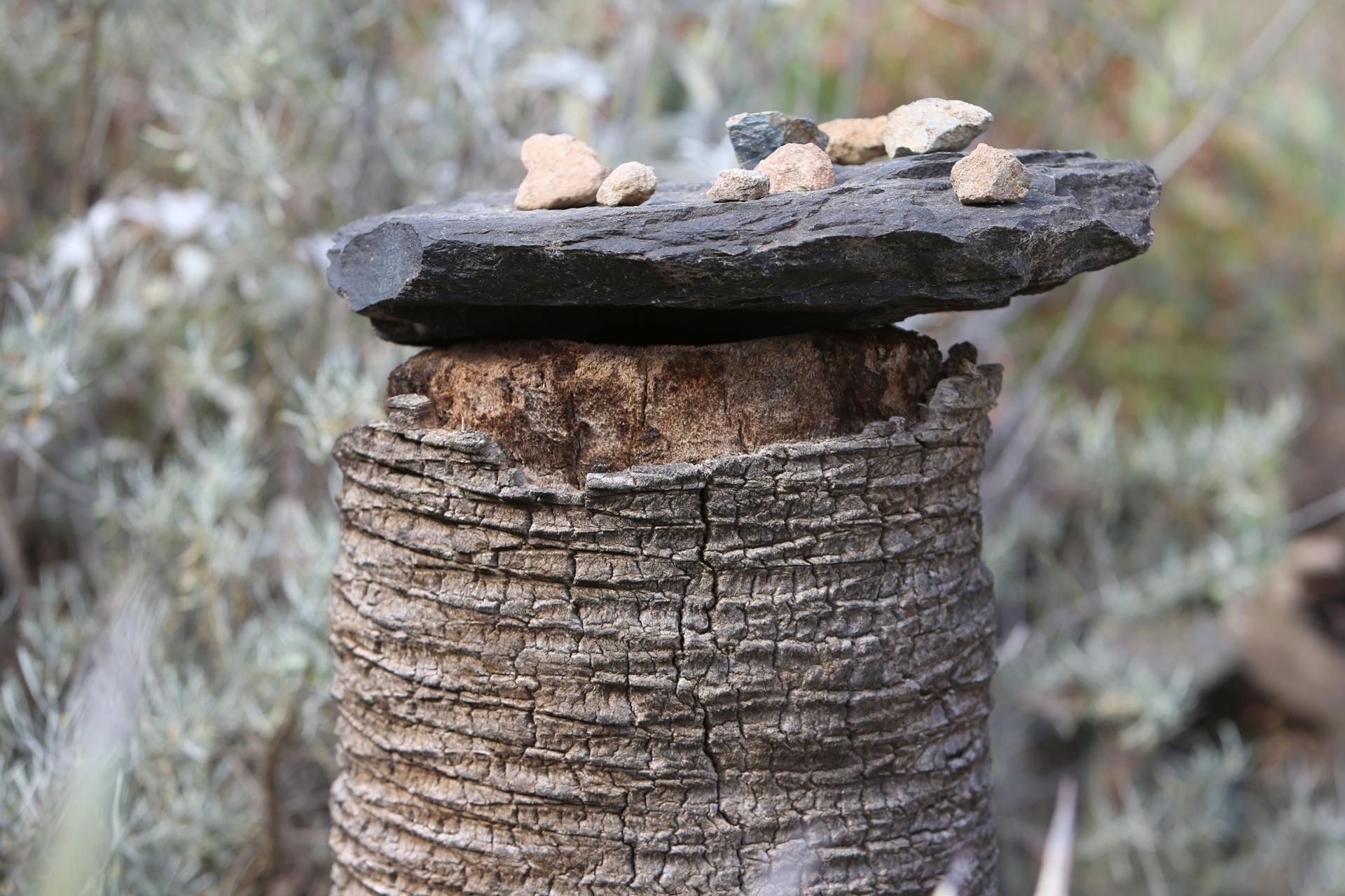 La primavera lleva a Arteara. (Alejandro Ramos).