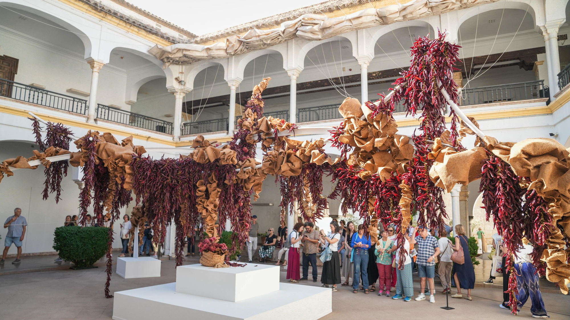 FLORA 2026 - Taller Banegas (Museo Arqueológico de Córdoba)