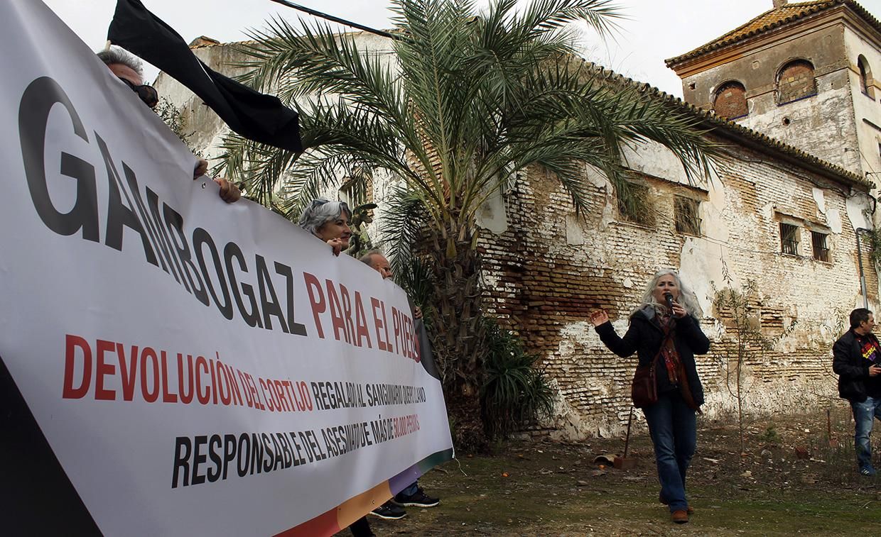 Marcha 'Gambogaz para el pueblo'. | JUAN MIGUEL BAQUERO