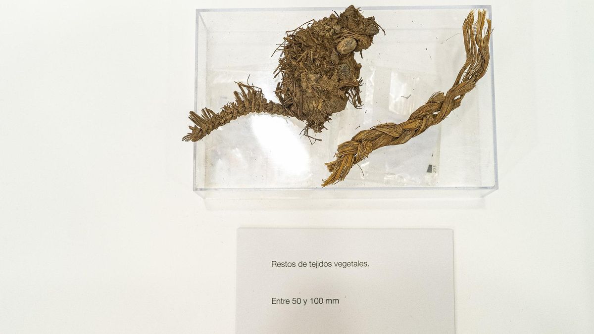 Restos de tejidos vegetales hallados en el entorno del roque Bentayga.