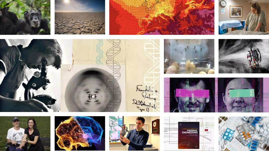 Mucho más que ChatGPT: algunos de los hallazgos científicos más impactantes de 2023