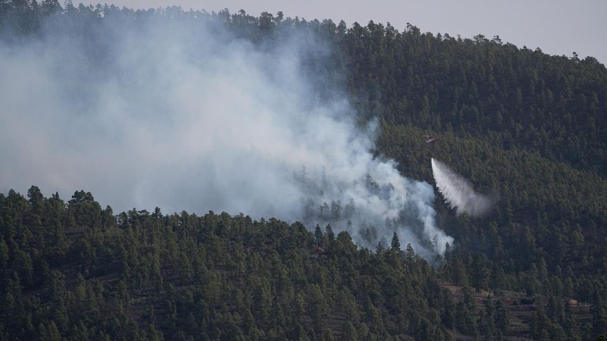 El incendio de Tenerife alcanza 3.300 hectáreas en un perímetro de 27 kilómetros, pero el control sobre el fuego mejora