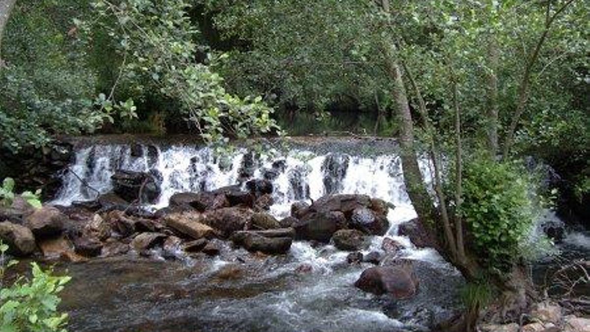 Laza esconde accidentes geográficos como pequeñas cascadas que aparecen por sorpresa tras recorrer senderos rodeados de vegetación exuberante