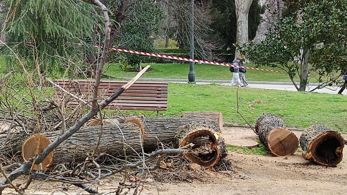 Árboles y ramas caídos en el parque del Retiro.