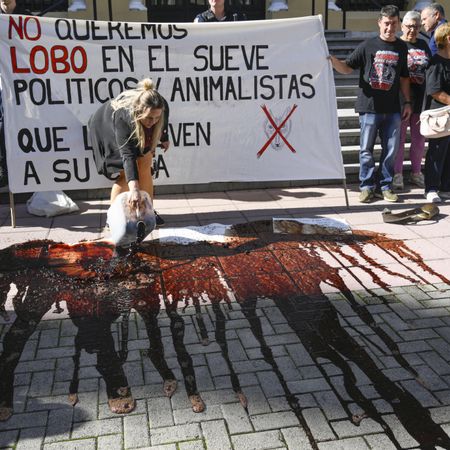 Un momento de la movilización de los ganaderos este jueves ante la sede de Presidencia del Gobierno de Asturias.