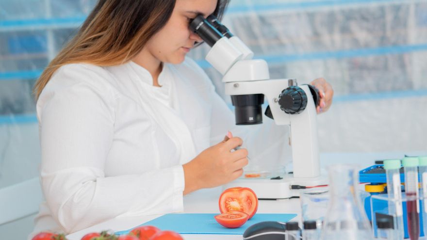 Los 500 veterinarios de Castilla-La Mancha reivindican su papel para garantizar alimentos seguros y de calidad de la granja a la mesa