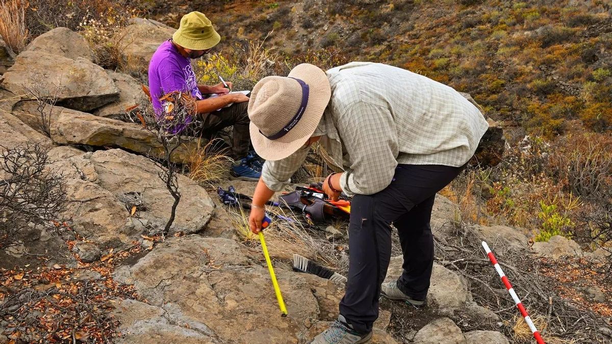Grabados, conchas y píxeles: sesión teórica del Campus de Arqueología de Tijarafe
