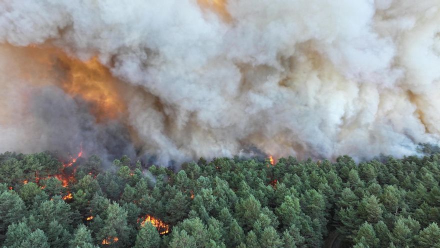 La Policía francesa detiene a dos personas por su vinculación con el incendio del bosque de Fontainebleau