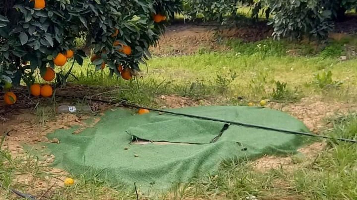 Los ecologistas maniobran para frenar que los pozos ilegales de los Alba se regularicen en plena investigación judicial