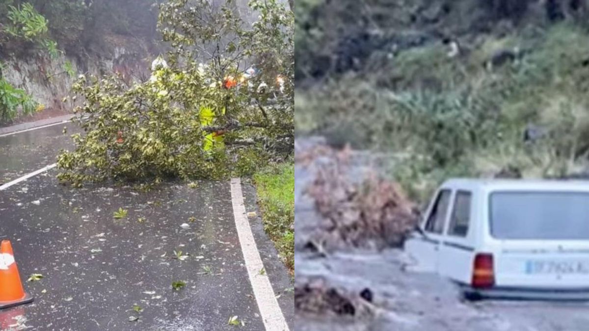 Alguno de los estragos este lunes por la lluvia y el viento. En la izquierda, desprendimiento en La Gomera; en la derecha, un coche hundido por el agua en un barranco en La Palma