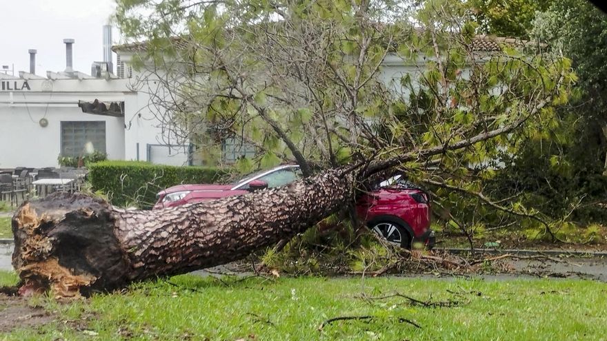 La provincia de Cáceres espera este jueves rachas de viento de hasta 80 km/h