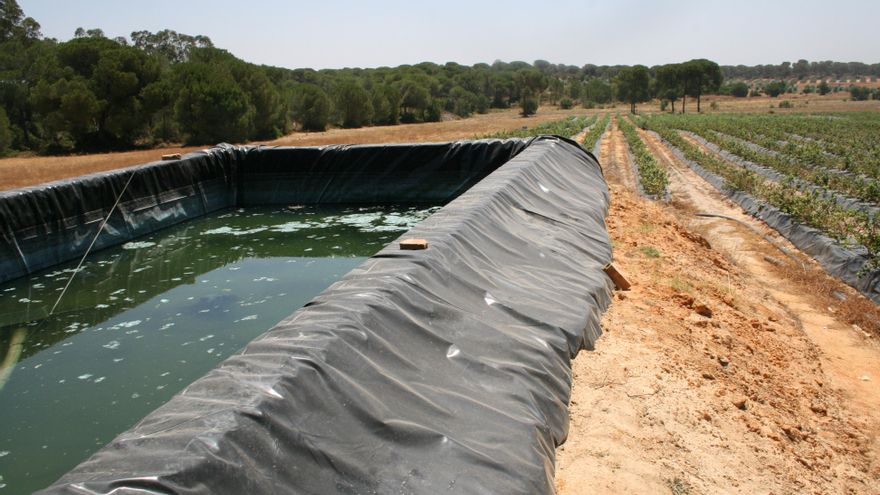 Bruselas amenaza a España con otra denuncia ante la Justicia europea si se indultan los regadíos ilegales de Doñana