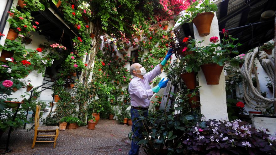 Los Patios de Córdoba sueñan su primavera