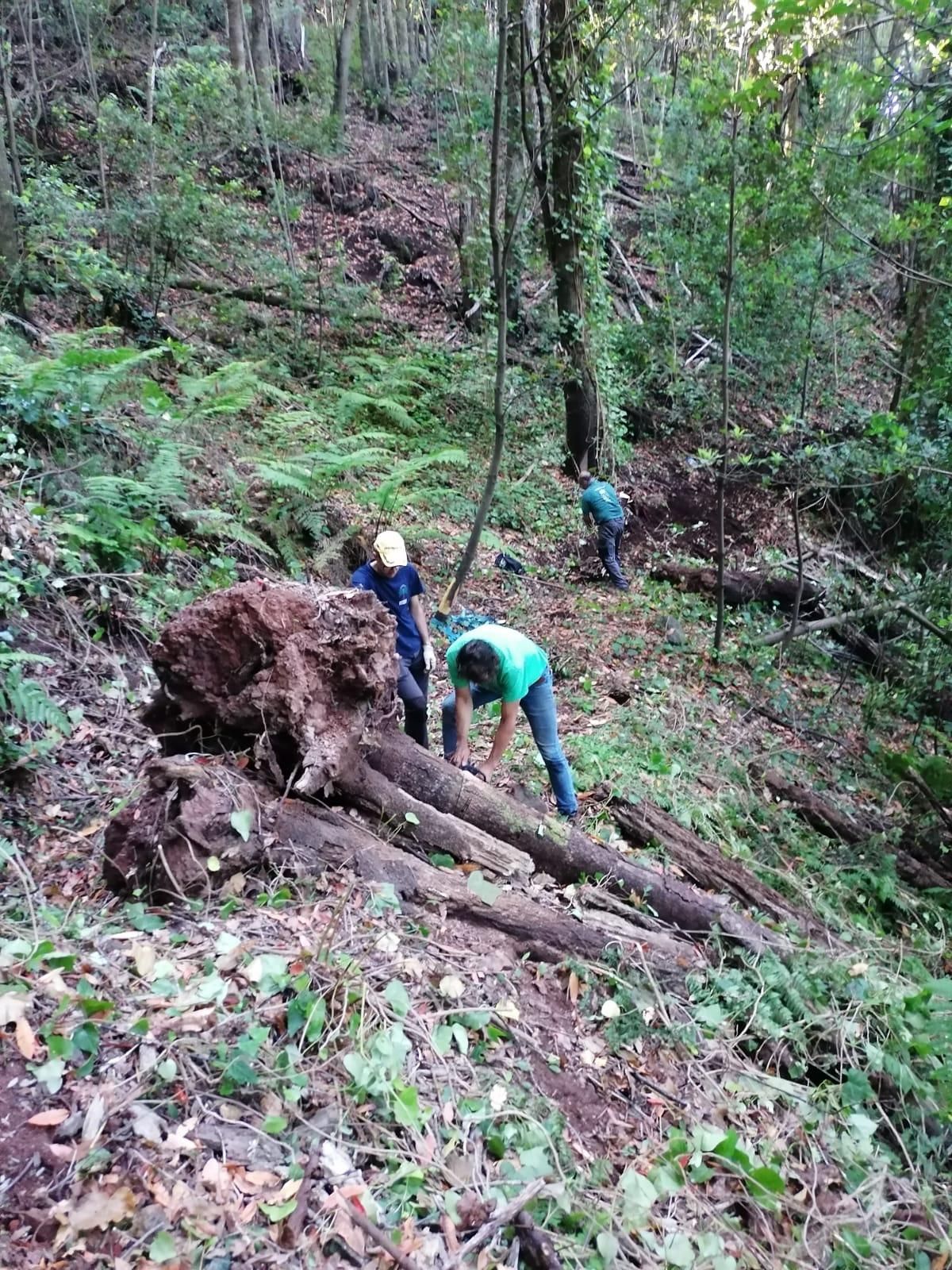 Trabajos de recuperación del camino.