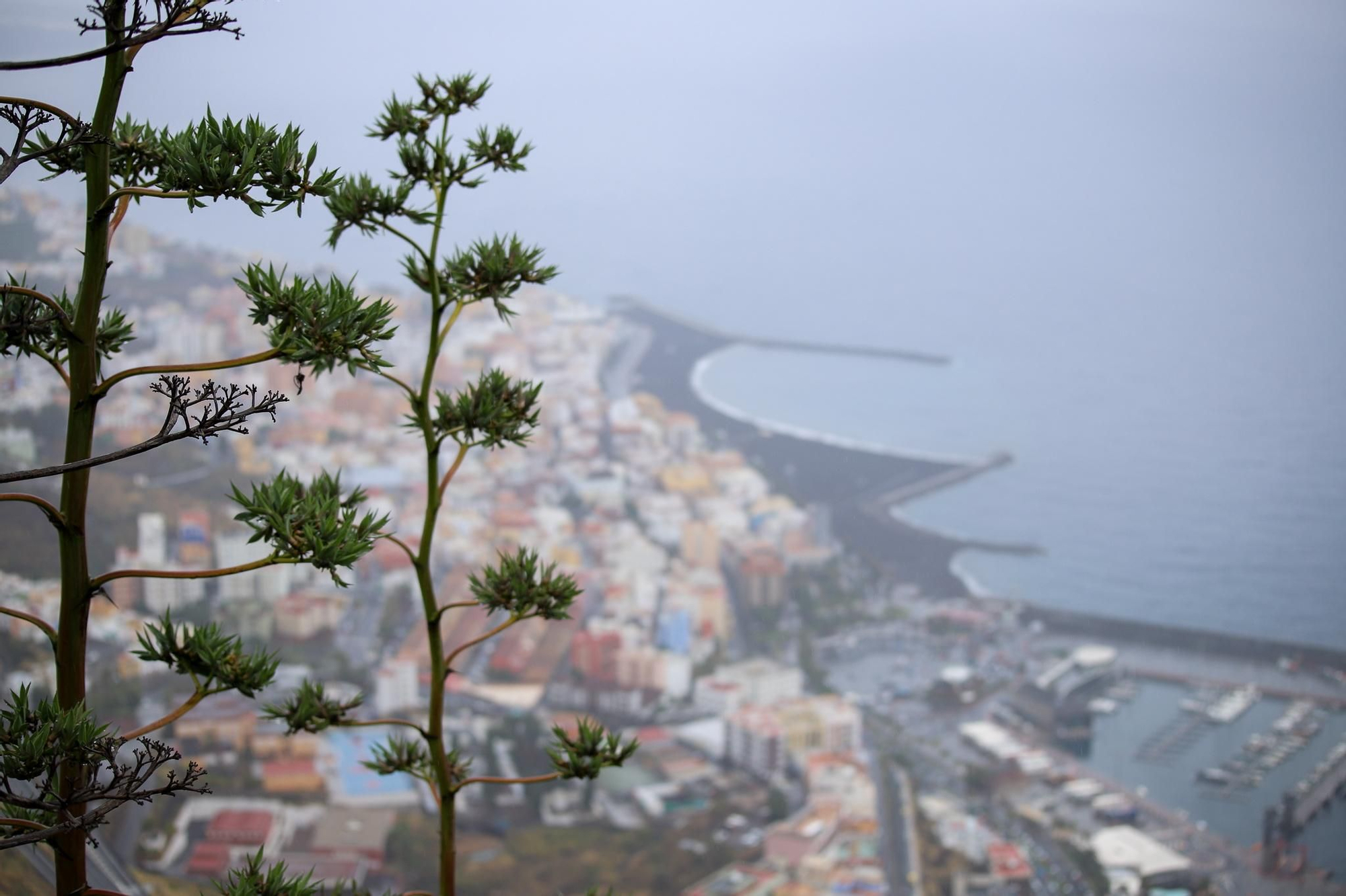Panorámica de Santa Cruz de La Palma bajo la depresión tropical. LUIS G. MORERA/EFE