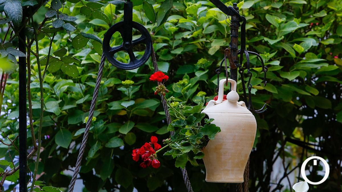 Patio Parras 6 - 2022