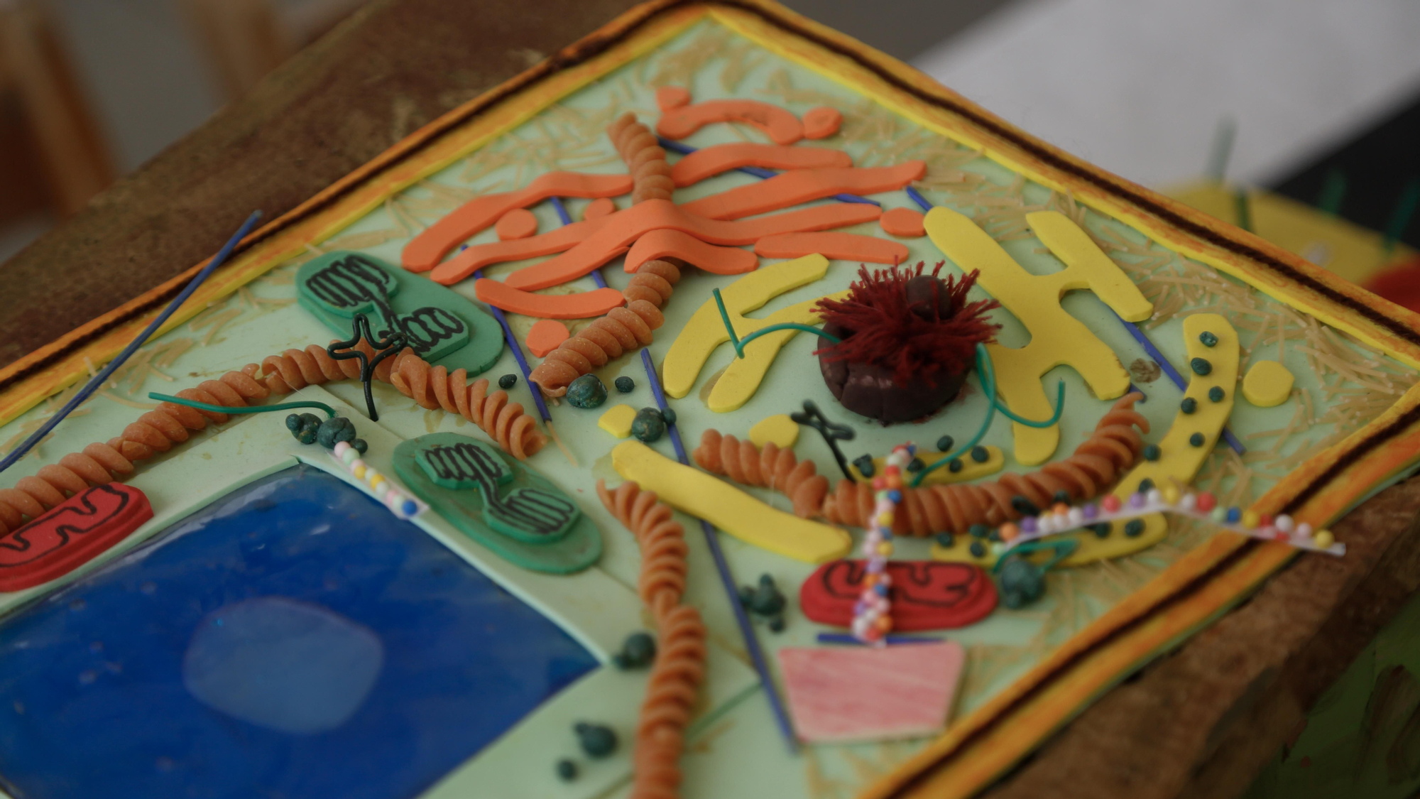 Paseo por la Ciencia 2026