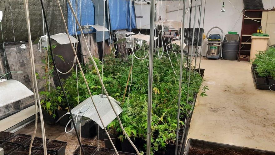 Detenidos todos los policías del grupo de estupefacientes de Mérida en una operación antidroga