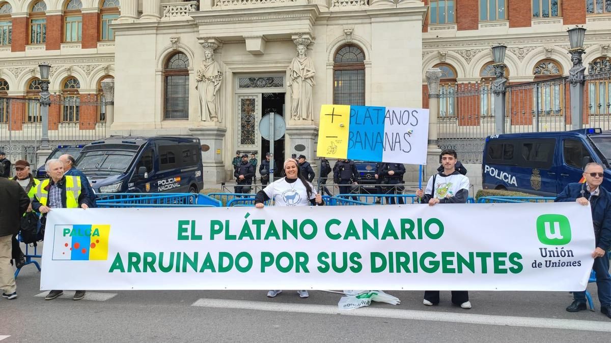 La organización agraria Palca arremete contra los gestores del plátano: “Pérdidas millonarias, dos meses de ruina y nadie dimite”