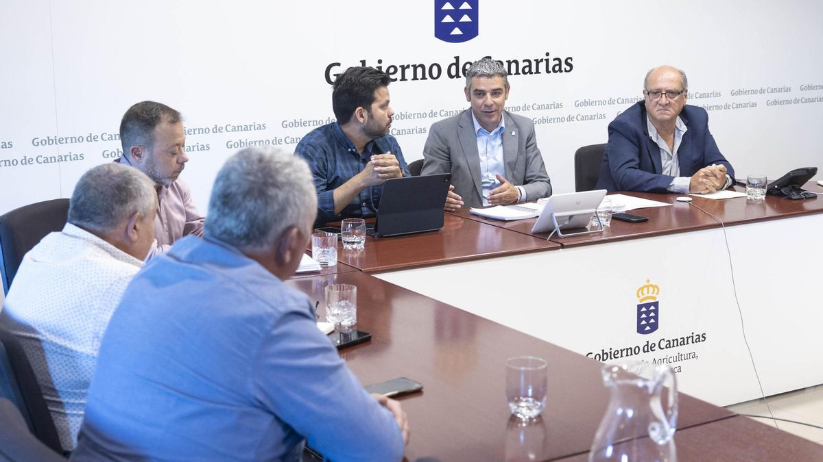 El consejero de Agricultura, Ganadería, Pesca y Soberanía Alimentaria del Gobierno de Canarias, Narvay Quintero (2d), se reunió este miércoles con la junta directiva de la Asociación de Organizaciones de Productores de Plátano de Canarias (Asprocan), presidida por su nuevo presidente, José Carlos Rendón (d), para abordar distintos asuntos de interés para este subsector agrícola.