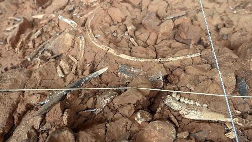 Ricardo Ordóñez / ICAL