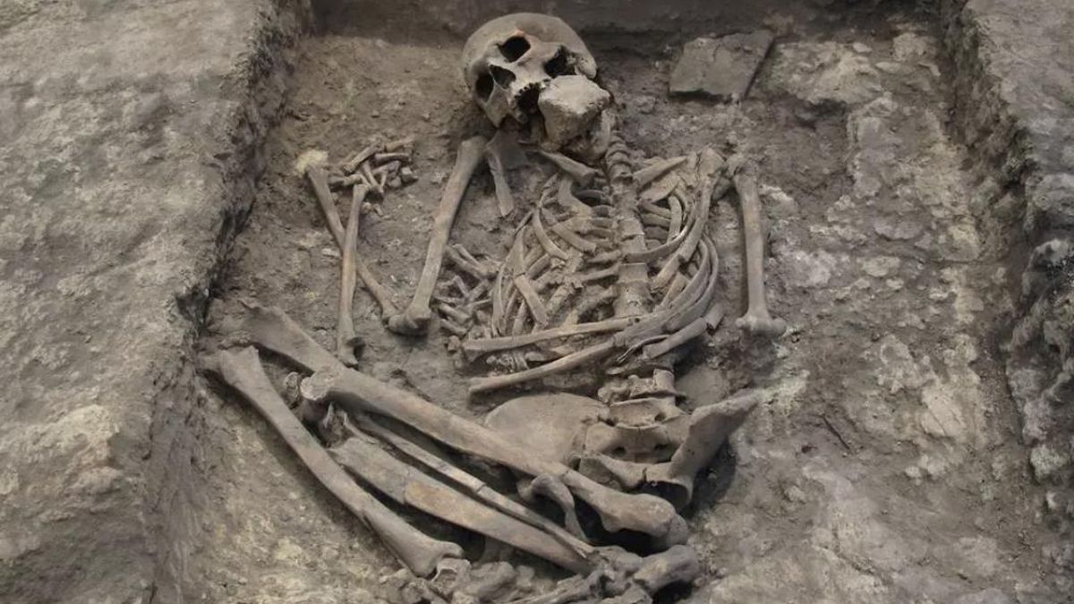 ¿Qué hacía una piedra dentro de la boca de un posible sacerdote? Una tumba de Murcia abre un misterio de la Edad del Bronce