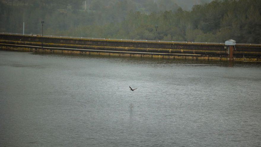 Javier Martín Vide, experto en climatología: "Después de más de tres años, la sequía en Catalunya ha finalizado”