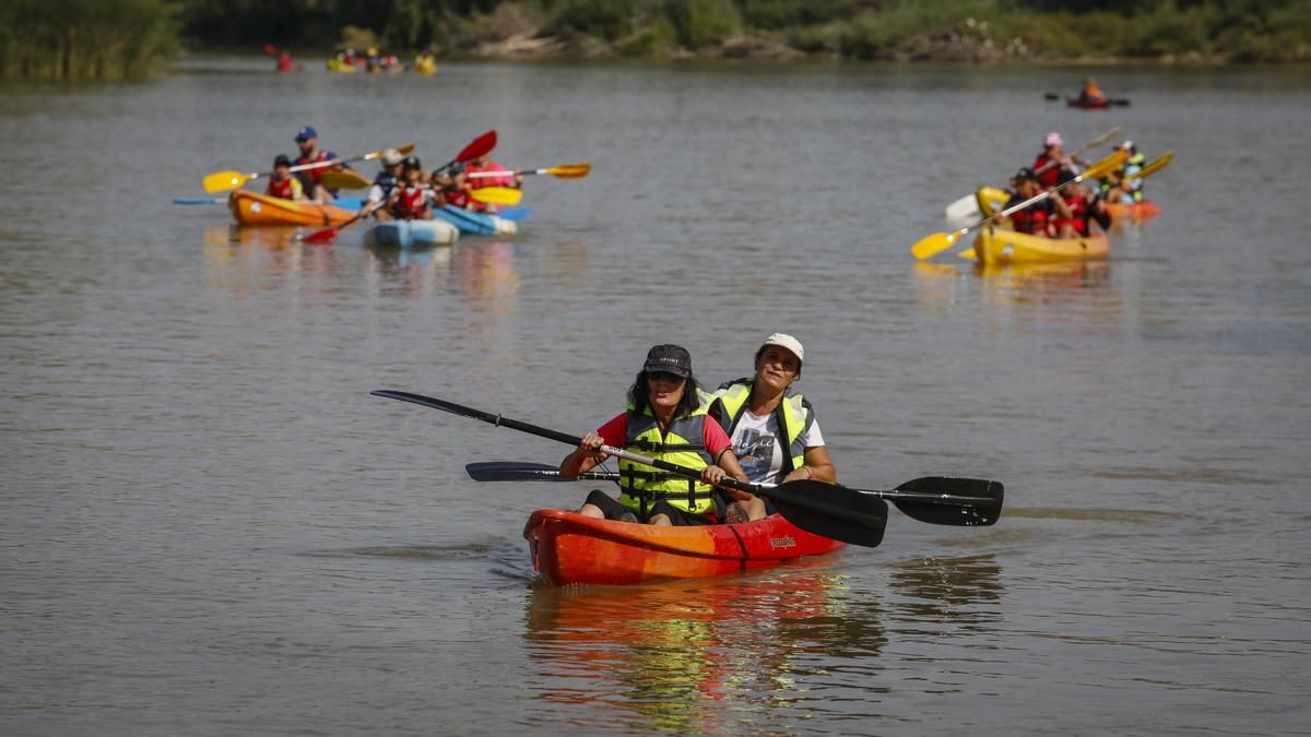 Ruta del Caimán 2026