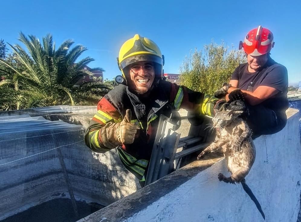 Un bombero muestra su satisfacción tras el rescate del gato. BOMBEROS LA PALMA