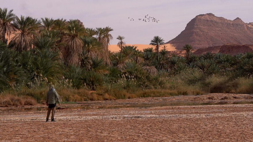La mítica ciudad pérdida de Zerzura podría no estar en Egipto, sino en Chad, según un explorador español