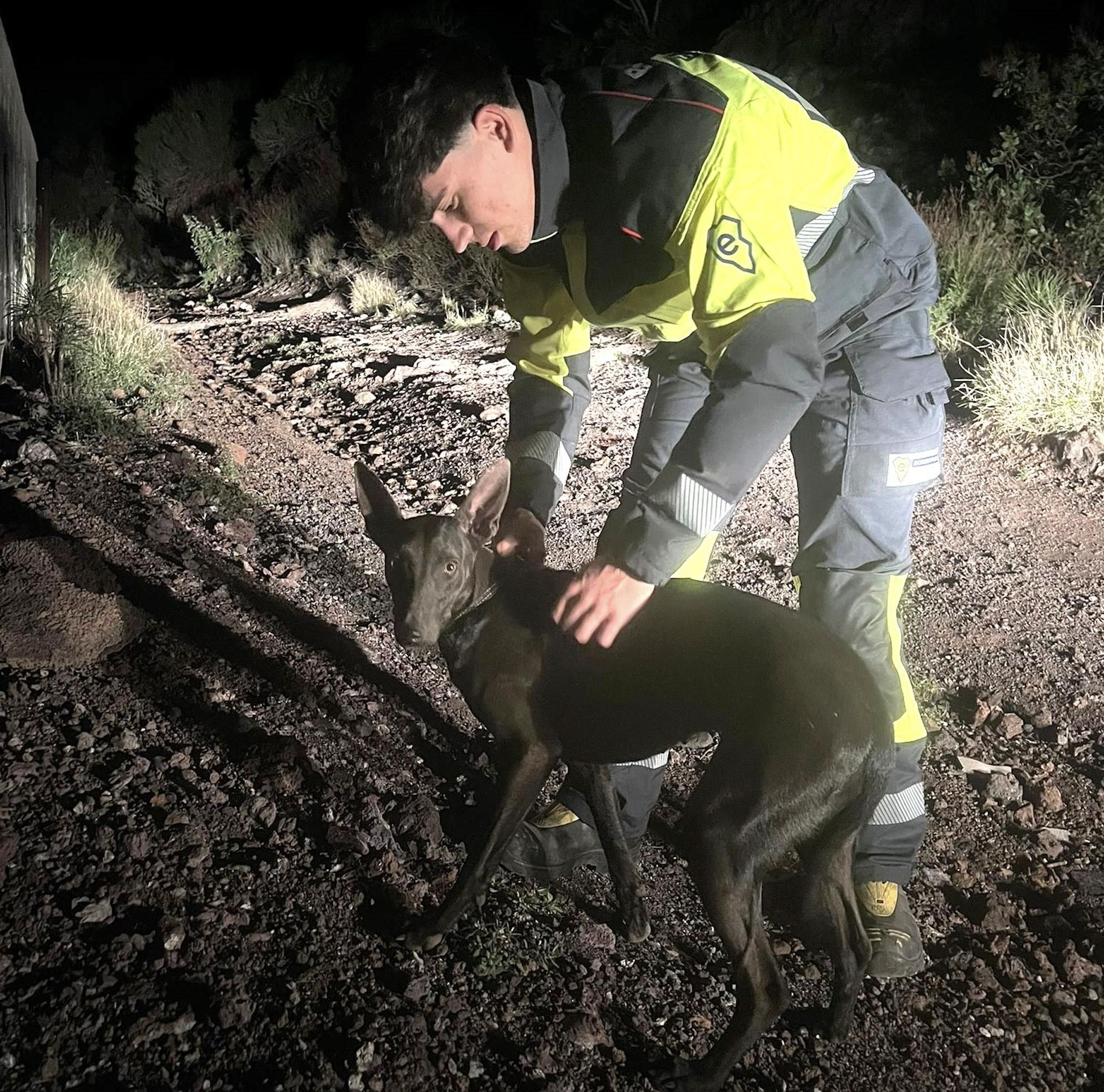 El perro con uno de sus rescagadores.