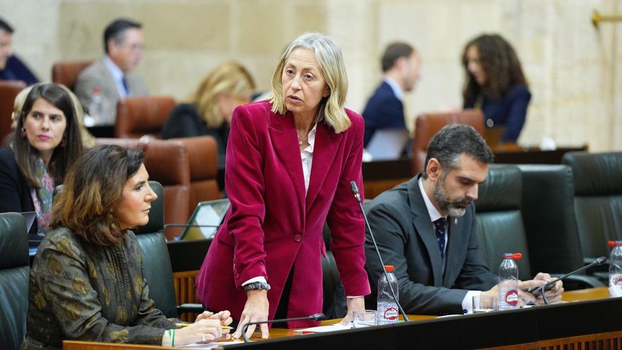 Un tribunal anula el plan andaluz para volver al concierto abierto con clínicas privadas un mes antes de entrar en vigor