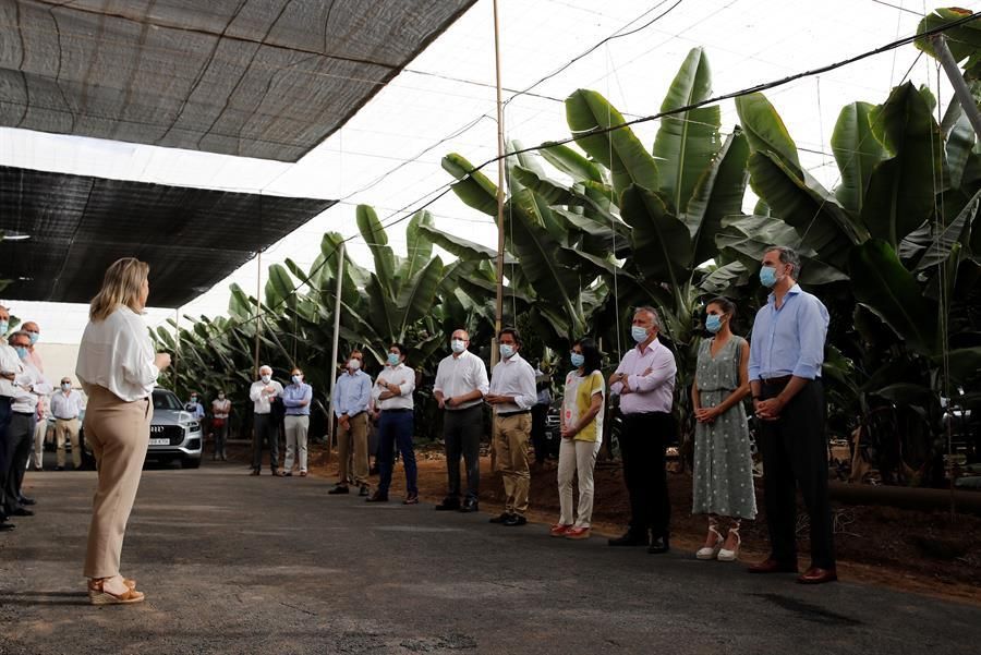 Los Reyes durante su visita a una explotación platanera en el Sur de Tenerife.