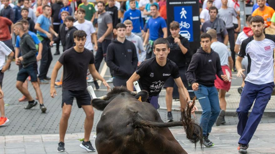 La ley vasca de festejos taurinos con reses pequeñas permitirá participar a niños desde los 8 años y no se requerirá permiso