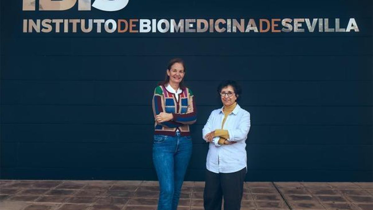 El grupo de investigación I+DNanoMed de la Universidad de Sevilla (US) está dirigido por Lucía Martín-Banderas y la investigadora Remedios Otero Candelera, neumóloga del Virgen del Rocío de Sevilla.