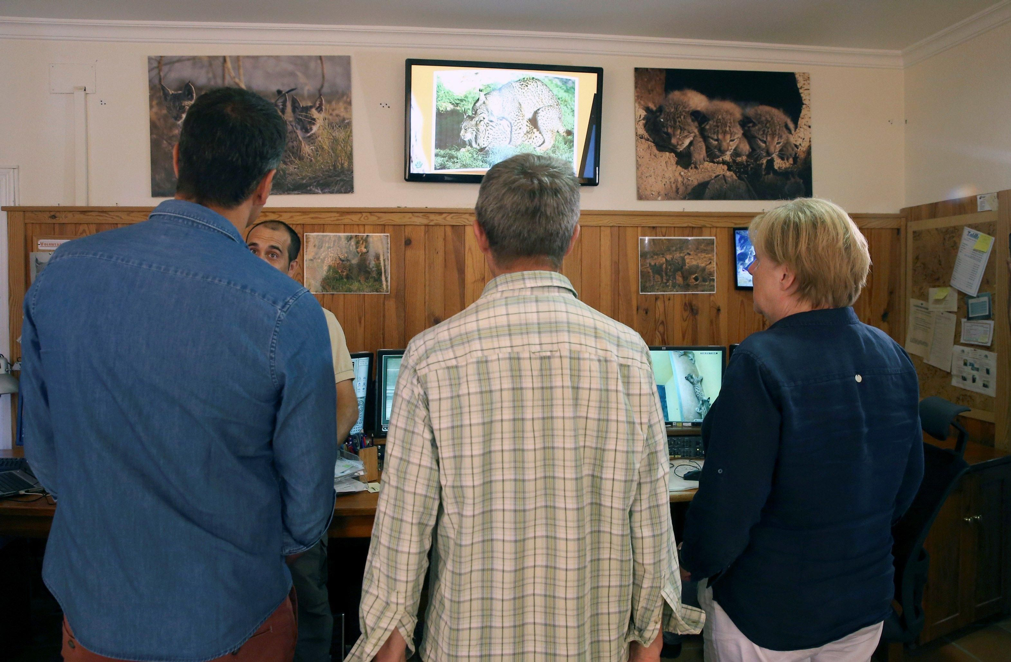 Merkel y Sánchez en el centro de cría en cautividad de lince ibérico en Doñana /foto: EFE