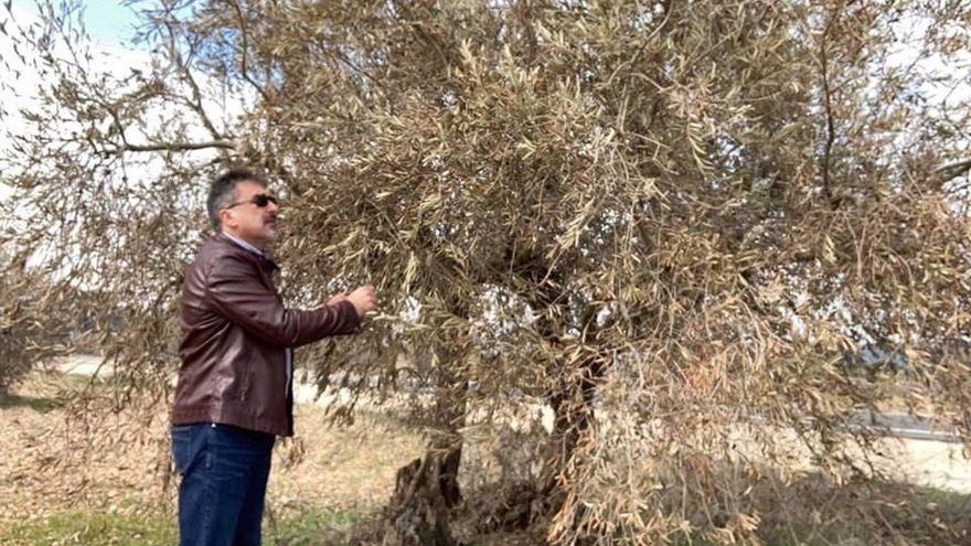 El director de Ordenación Agropecuaria, Joaquín Cuadrado, cesa de su cargo y abandona la primera línea política