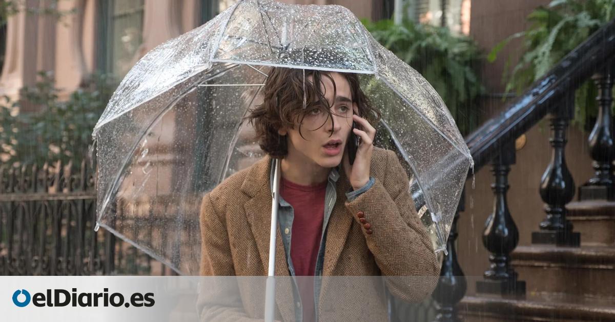 “No quiero sacar provecho de mi participación”: la película que Timothée Chalamet se arrepintió de hacer y que lo llevó a donar todo su sueldo