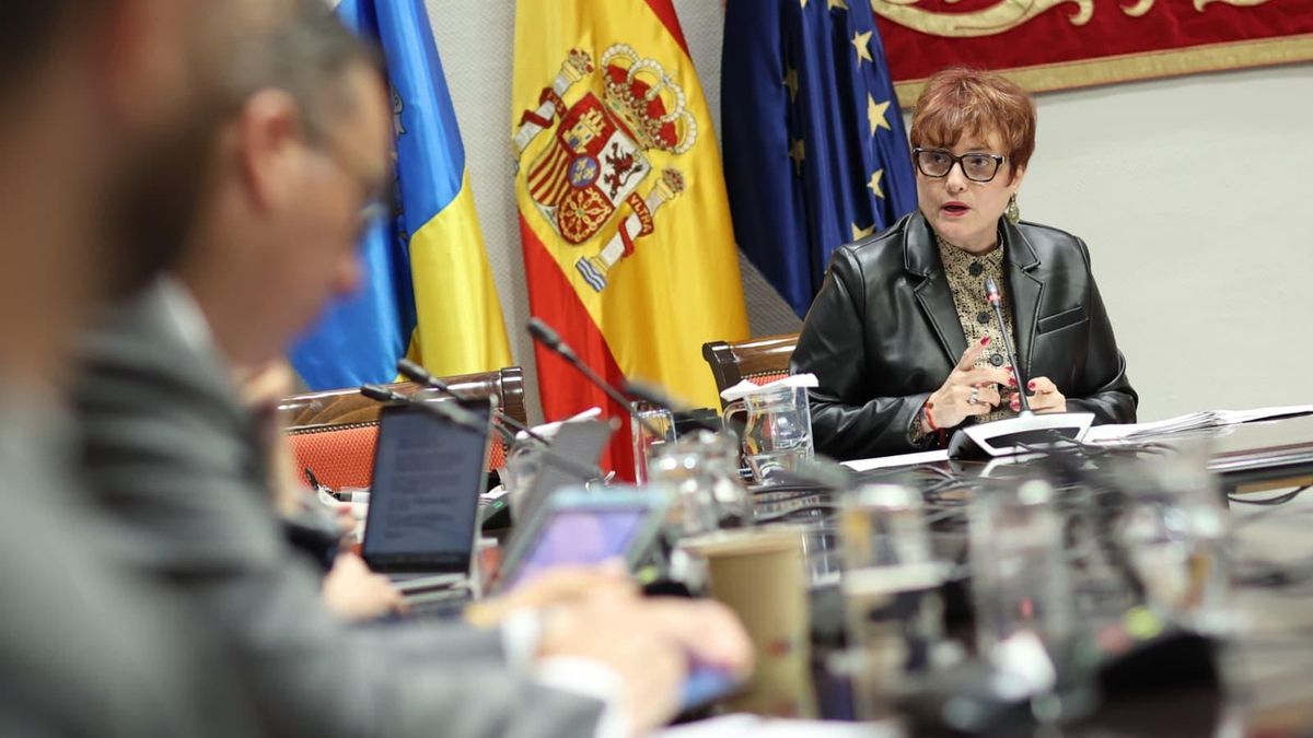 La consejera de Bienestar Social de Canarias justifica en una “reorganización de servicios” el polémico cierre de dos escuelas infantiles